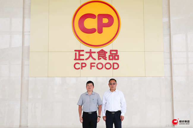 尊龙凯时 - 人生就是搏!