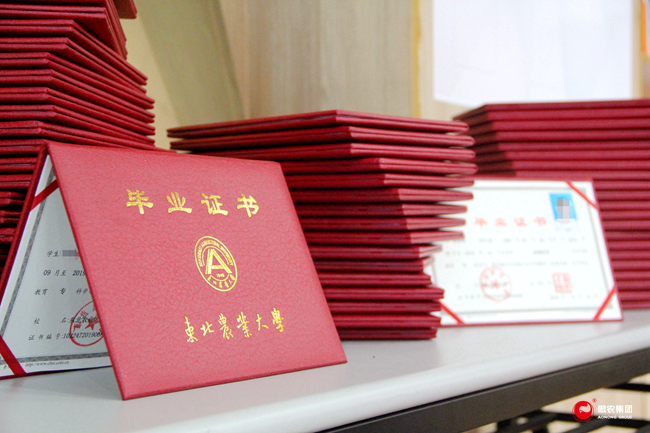 尊龙凯时 - 人生就是搏!