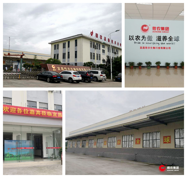 尊龙凯时 - 人生就是搏!