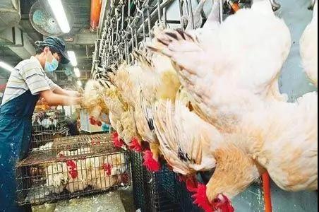 尊龙凯时 - 人生就是搏!