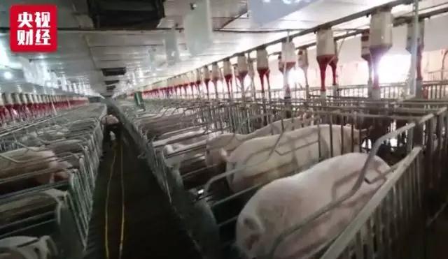 尊龙凯时 - 人生就是搏!