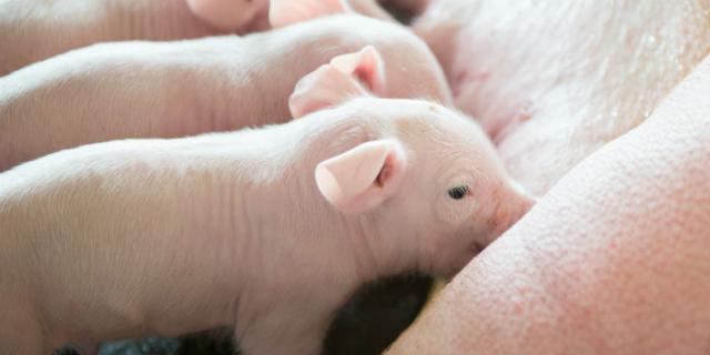 尊龙凯时 - 人生就是搏!