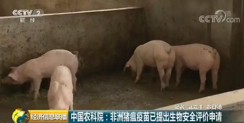 尊龙凯时 - 人生就是搏!