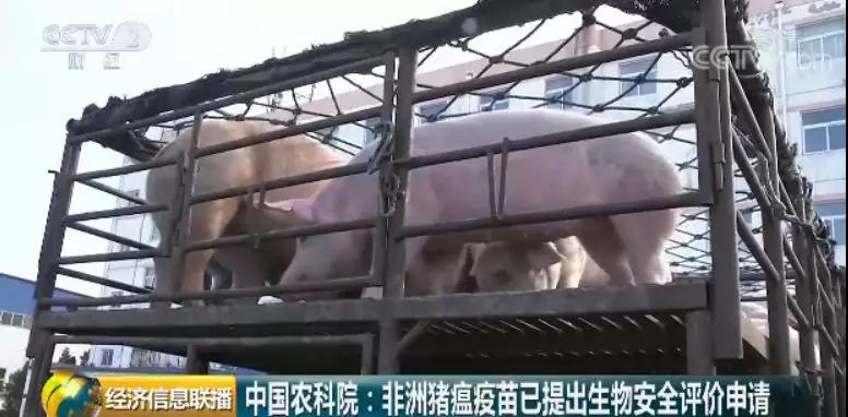 尊龙凯时 - 人生就是搏!