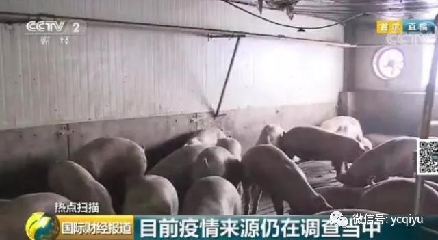 尊龙凯时 - 人生就是搏!