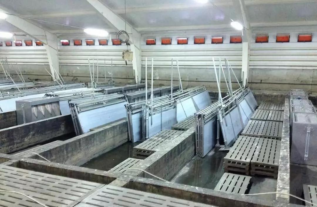 尊龙凯时 - 人生就是搏!