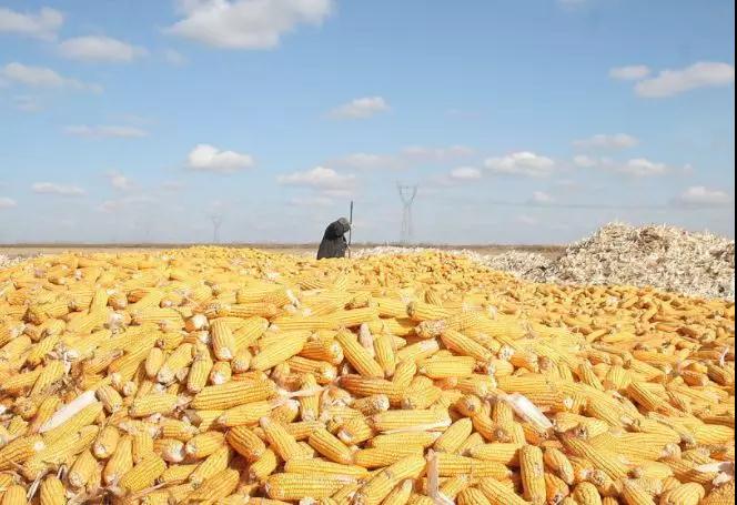 尊龙凯时 - 人生就是搏!