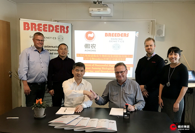 尊龙凯时 - 人生就是搏!