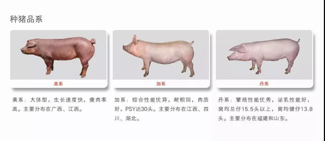 尊龙凯时 - 人生就是搏!