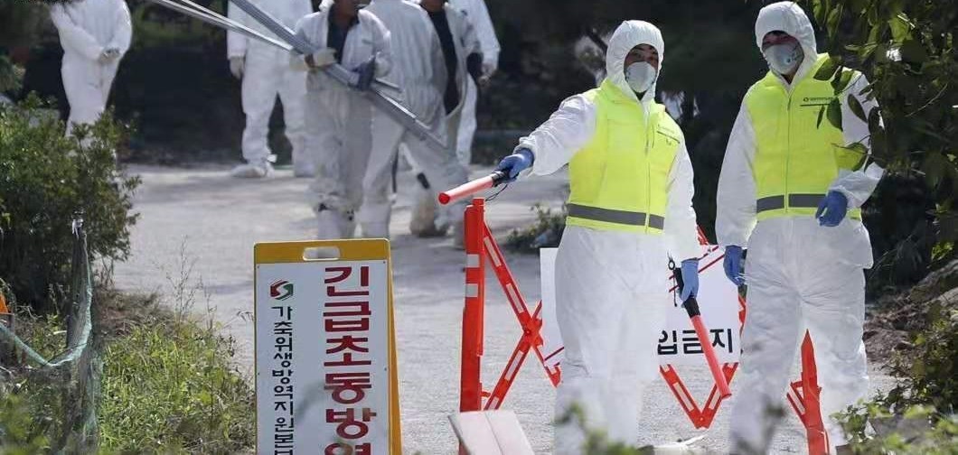 尊龙凯时 - 人生就是搏!