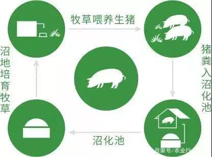 尊龙凯时 - 人生就是搏!