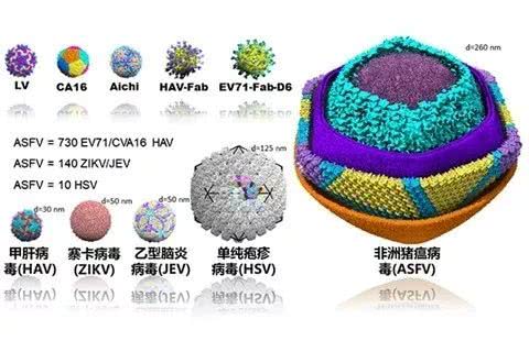 尊龙凯时 - 人生就是搏!