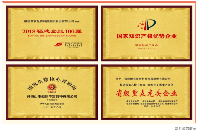 尊龙凯时 - 人生就是搏!