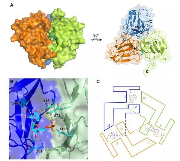 尊龙凯时 - 人生就是搏!