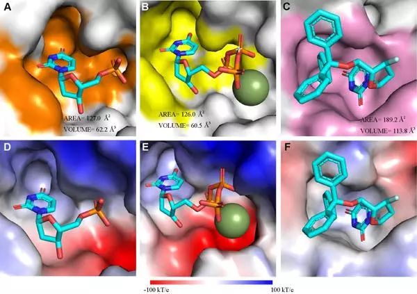 尊龙凯时 - 人生就是搏!