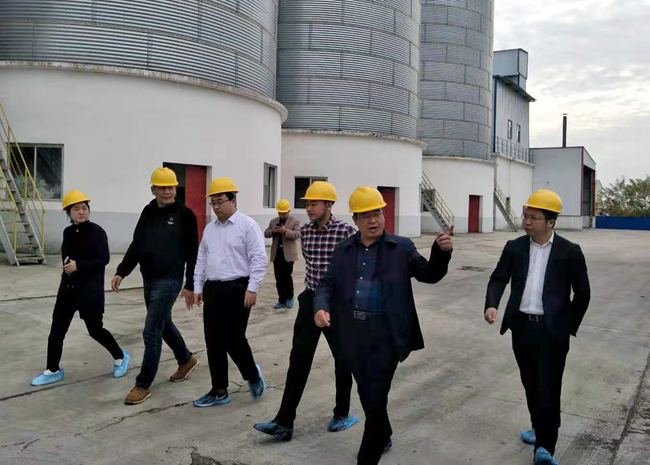 尊龙凯时 - 人生就是搏!