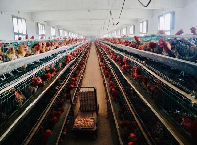 尊龙凯时 - 人生就是搏!