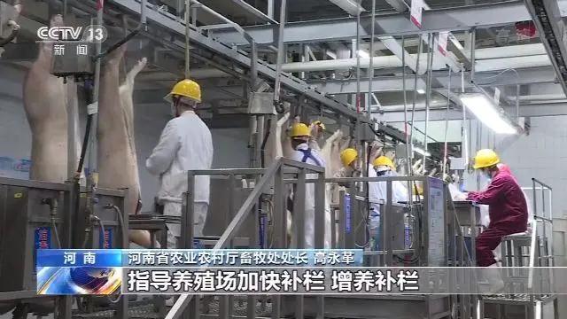 尊龙凯时 - 人生就是搏!