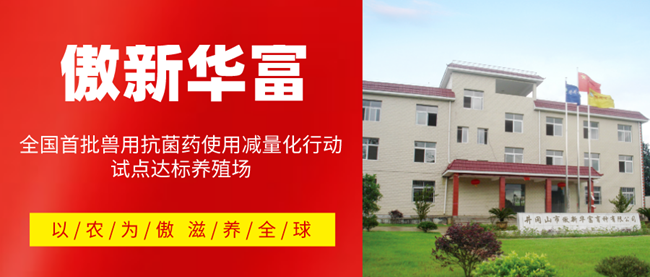 尊龙凯时 - 人生就是搏!