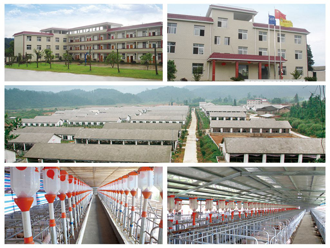 尊龙凯时 - 人生就是搏!