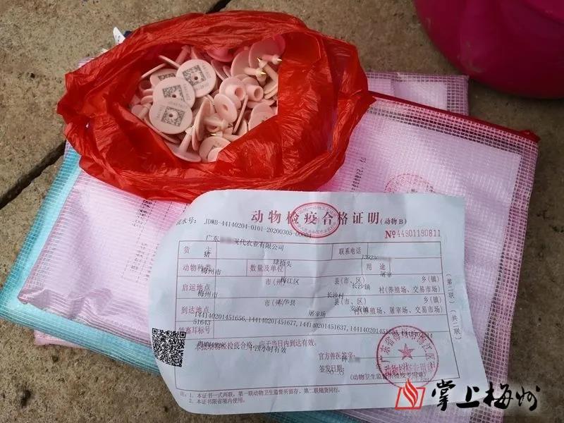 尊龙凯时 - 人生就是搏!