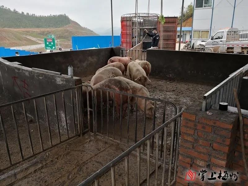 尊龙凯时 - 人生就是搏!