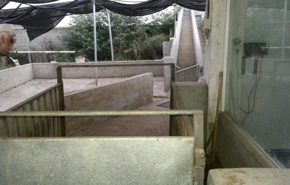 尊龙凯时 - 人生就是搏!