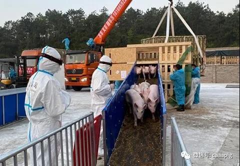 尊龙凯时 - 人生就是搏!