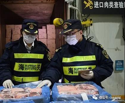 尊龙凯时 - 人生就是搏!