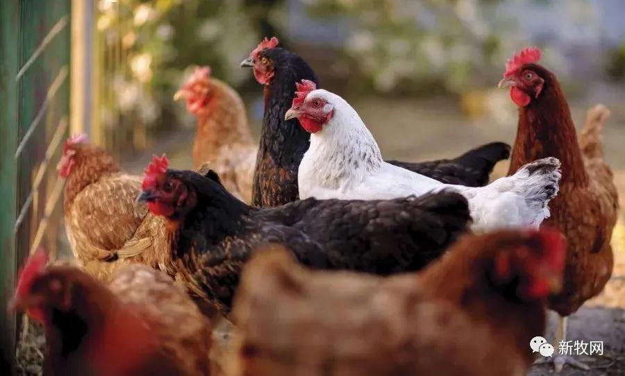 尊龙凯时 - 人生就是搏!