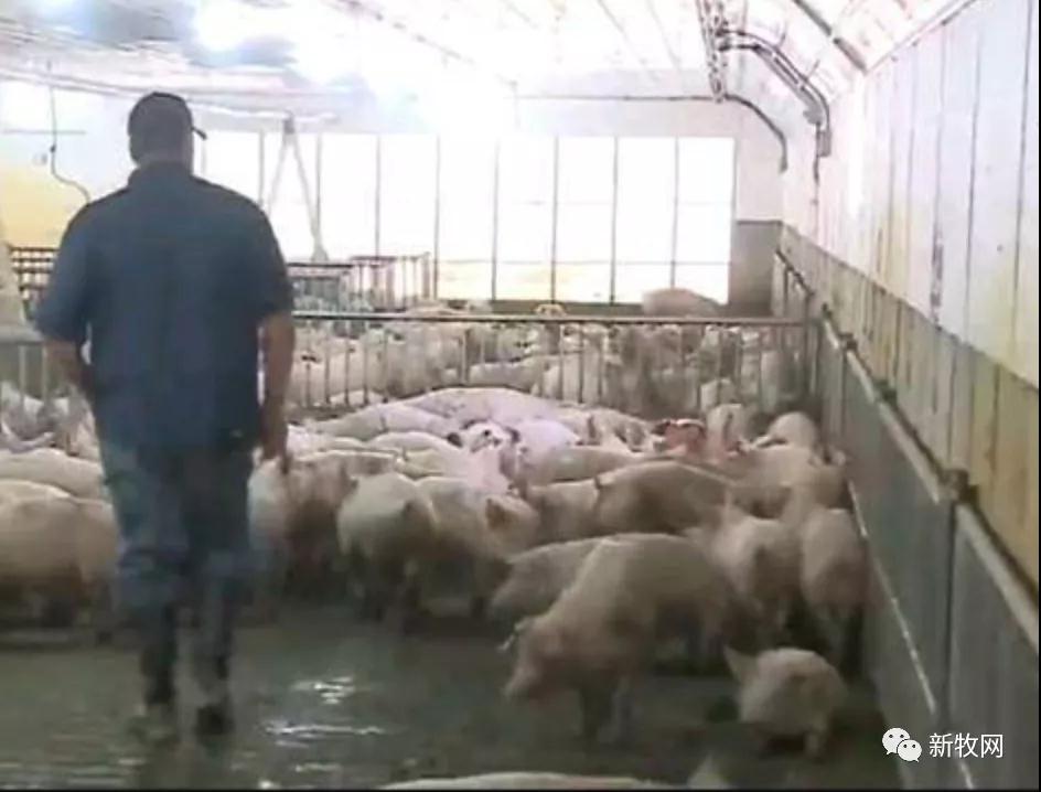 尊龙凯时 - 人生就是搏!