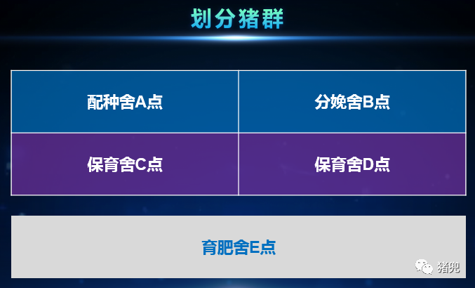 尊龙凯时 - 人生就是搏!