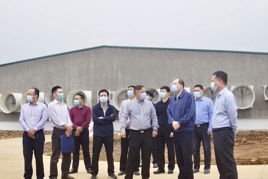 尊龙凯时 - 人生就是搏!