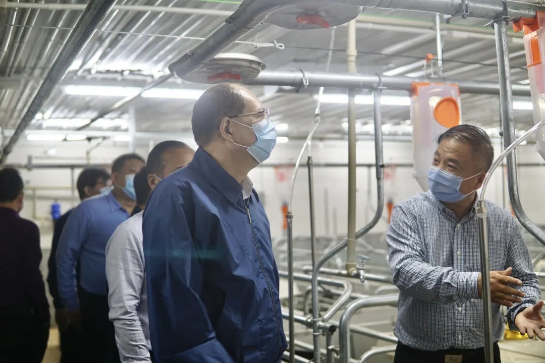 尊龙凯时 - 人生就是搏!