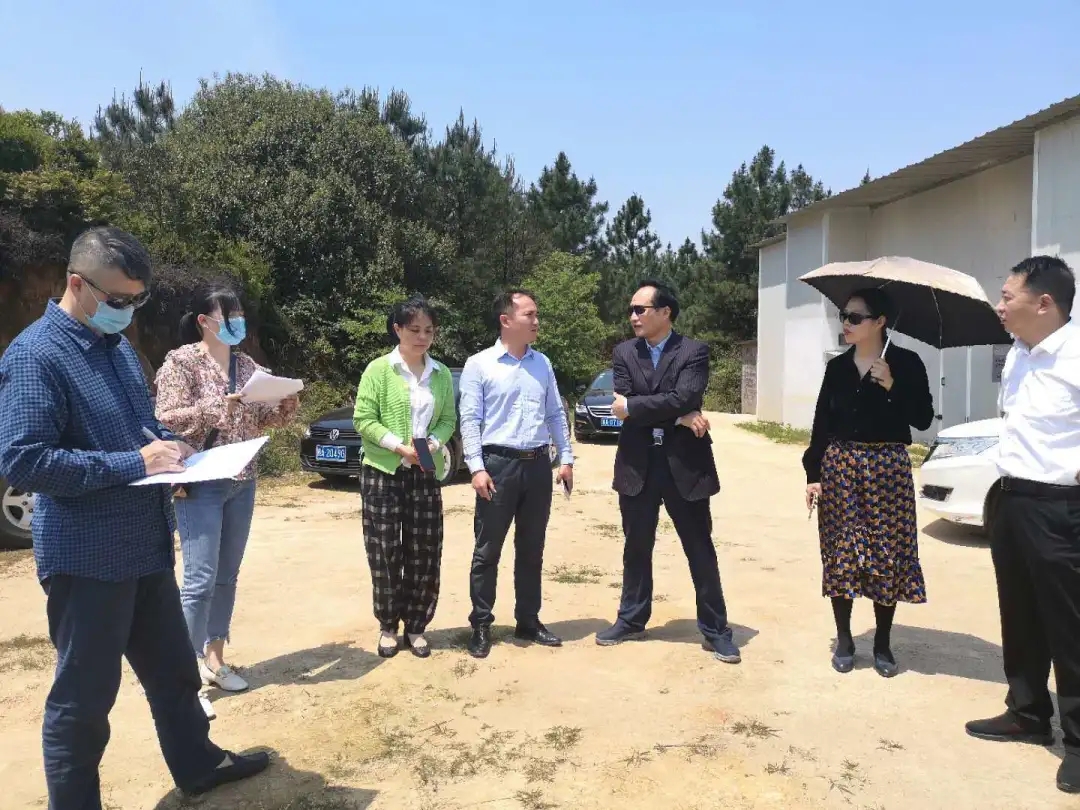 尊龙凯时 - 人生就是搏!