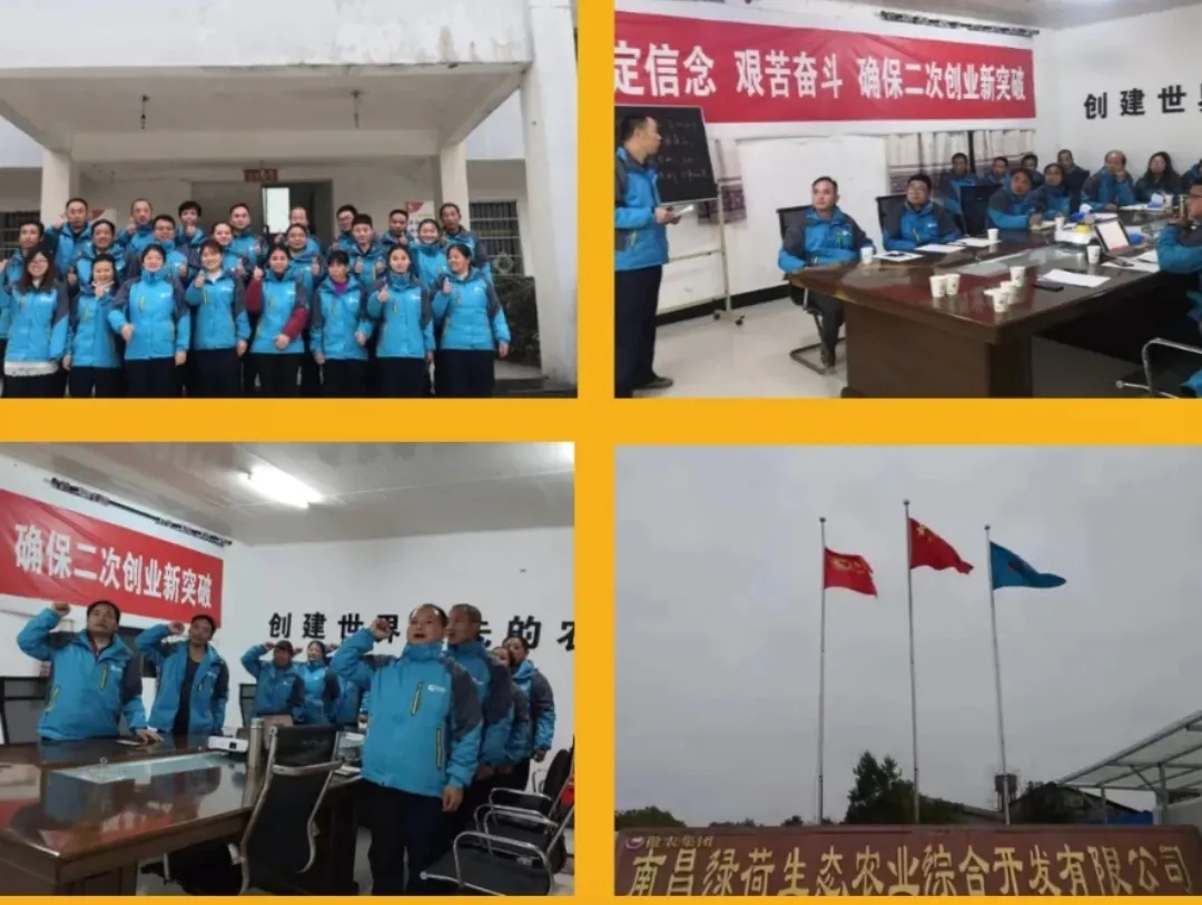 尊龙凯时 - 人生就是搏!