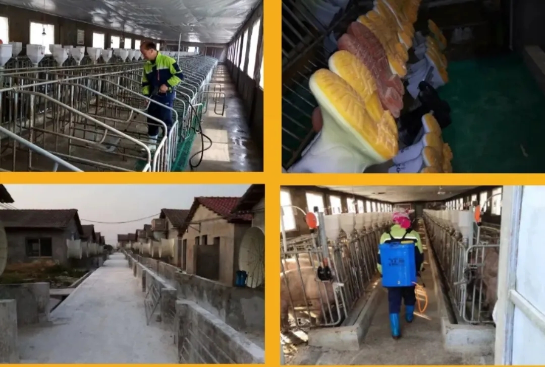 尊龙凯时 - 人生就是搏!