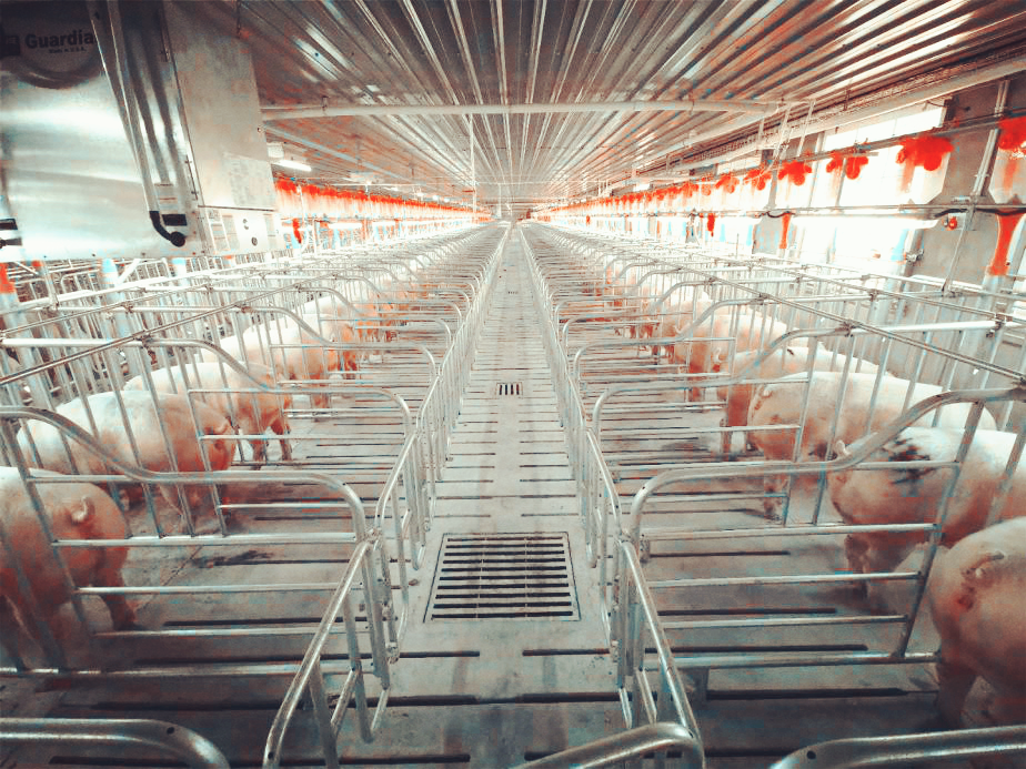 尊龙凯时 - 人生就是搏!