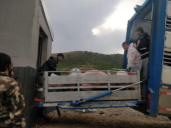 尊龙凯时 - 人生就是搏!