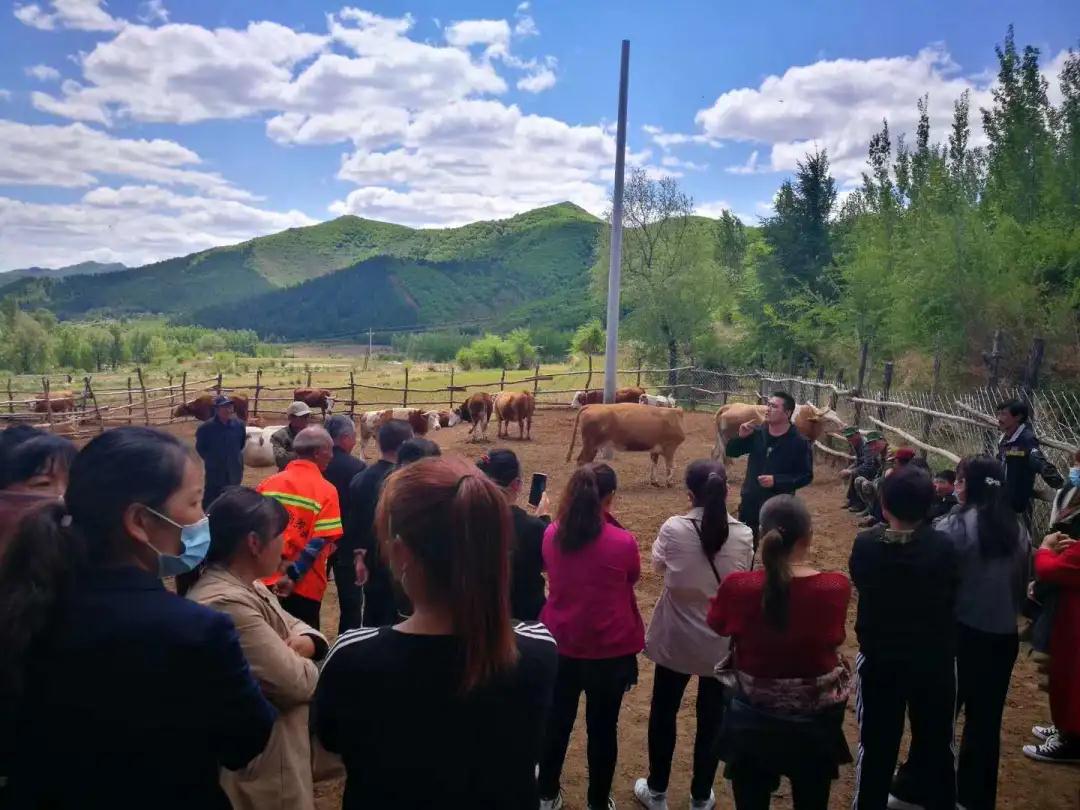 尊龙凯时 - 人生就是搏!