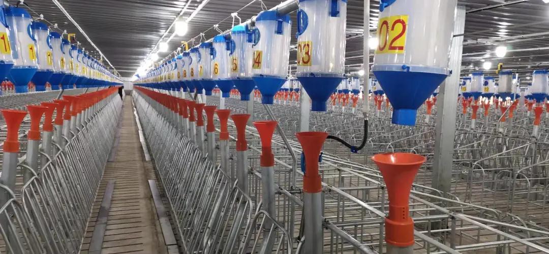 尊龙凯时 - 人生就是搏!