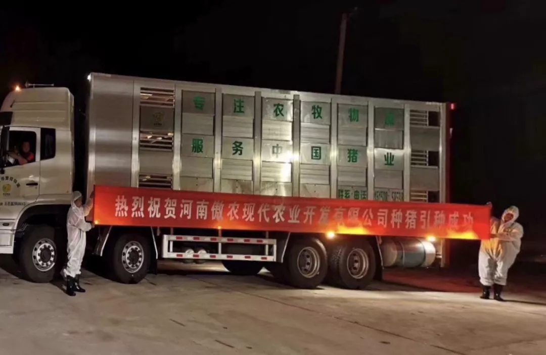 尊龙凯时 - 人生就是搏!