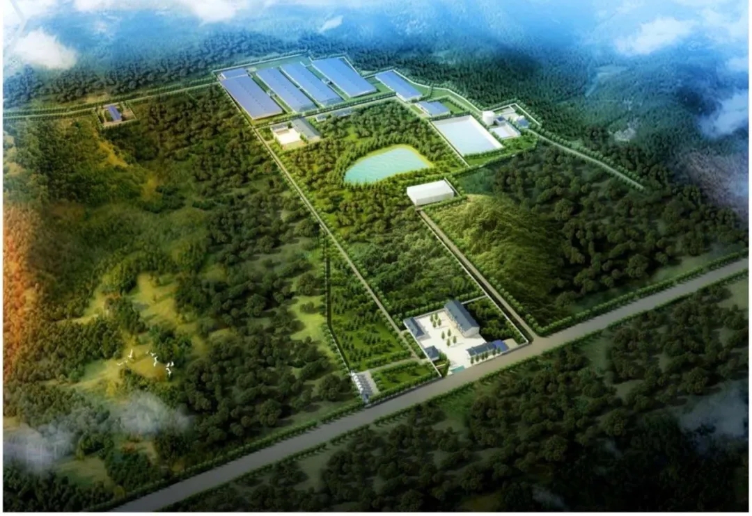 尊龙凯时 - 人生就是搏!