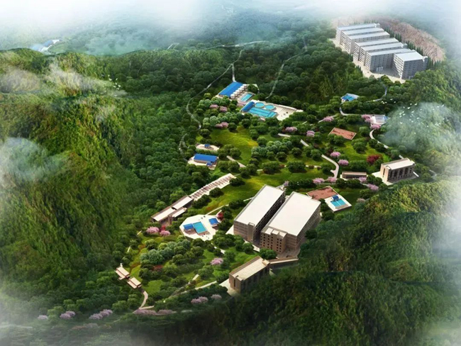 尊龙凯时 - 人生就是搏!