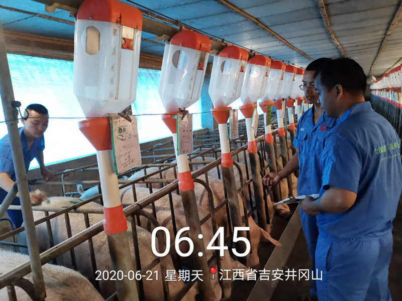 尊龙凯时 - 人生就是搏!