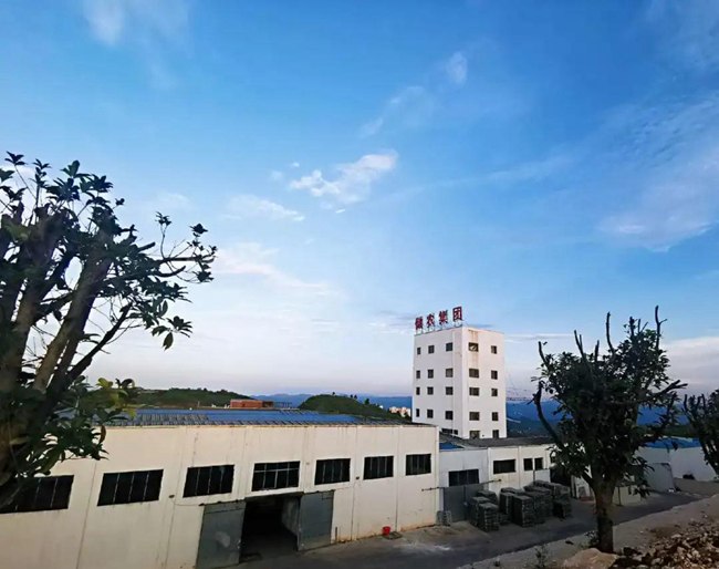 尊龙凯时 - 人生就是搏!