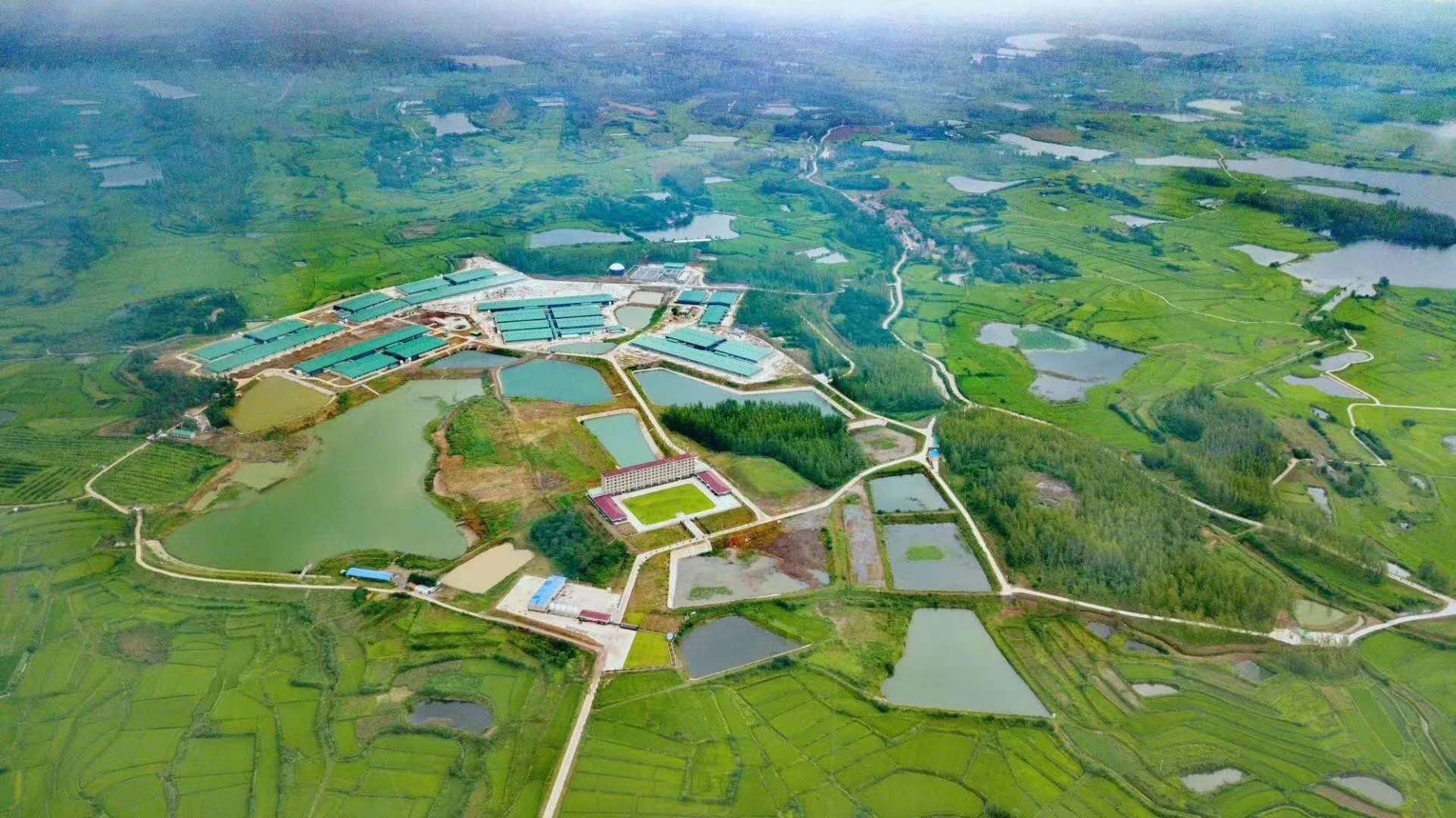 尊龙凯时 - 人生就是搏!