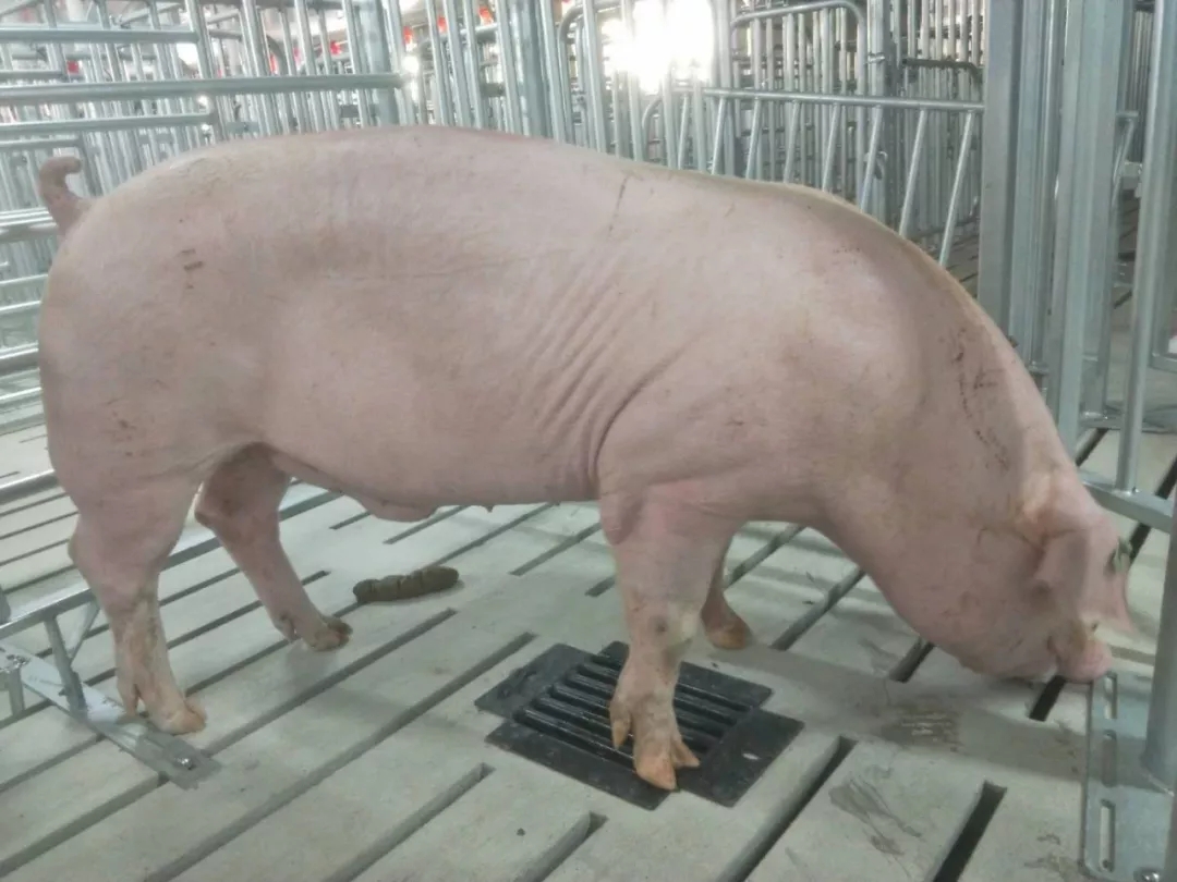 尊龙凯时 - 人生就是搏!