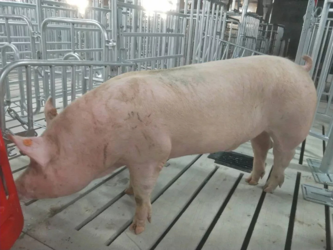 尊龙凯时 - 人生就是搏!