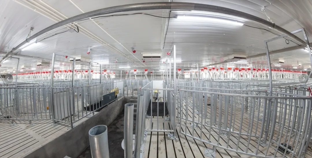 尊龙凯时 - 人生就是搏!